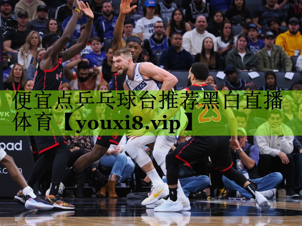 便宜点乒乓球台推荐黑白直播 体育