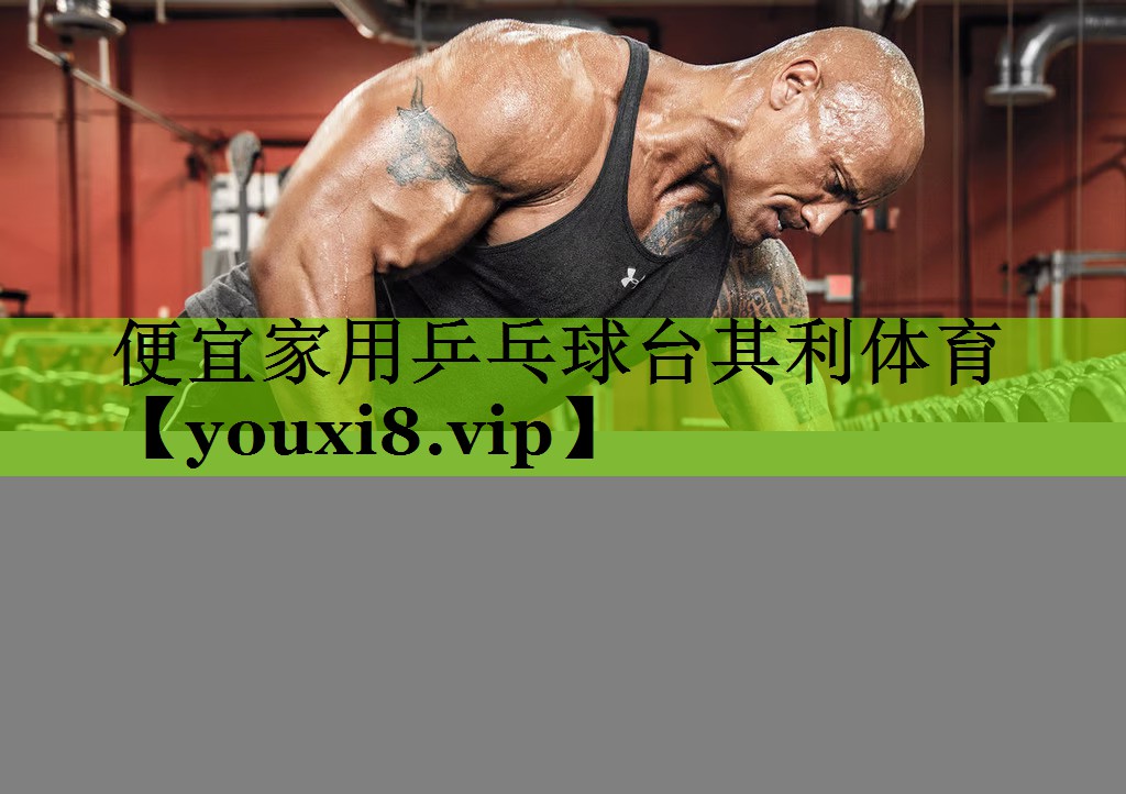 便宜家用乒乓球台其利体育