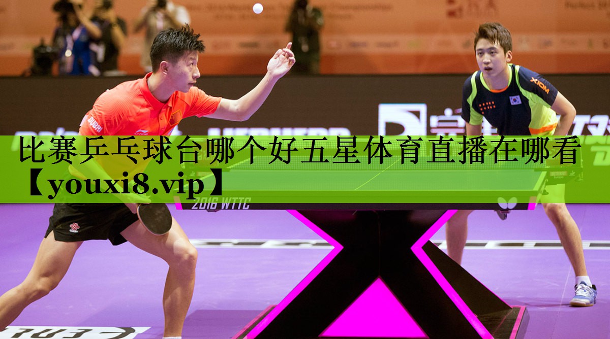 比赛乒乓球台哪个好五星体育直播在哪看